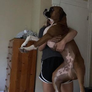 Meet your Posher, Bella